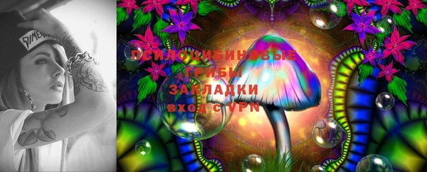 2c-b Алексеевка