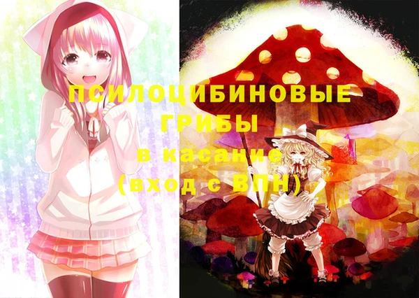 2c-b Алексеевка