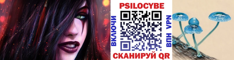 Галлюциногенные грибы Cubensis  shop официальный сайт  Гвардейск  omg ONION 